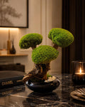 Bonsaï Stabilisé dException sur Coupe en céramique   Pièce Unique- Décoration Zen Naturelle et sans entretien