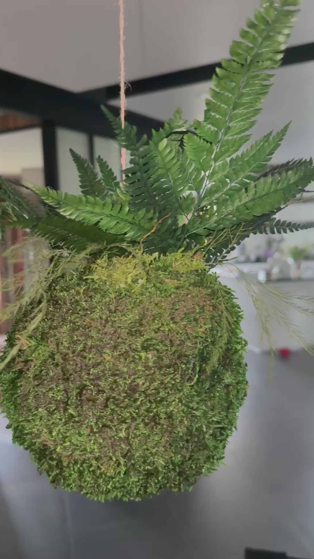 Kokedama suspendu avec fougères stabilisées – Art végétal aérien – Décoration zen bohème – Suspension végétale artisanale