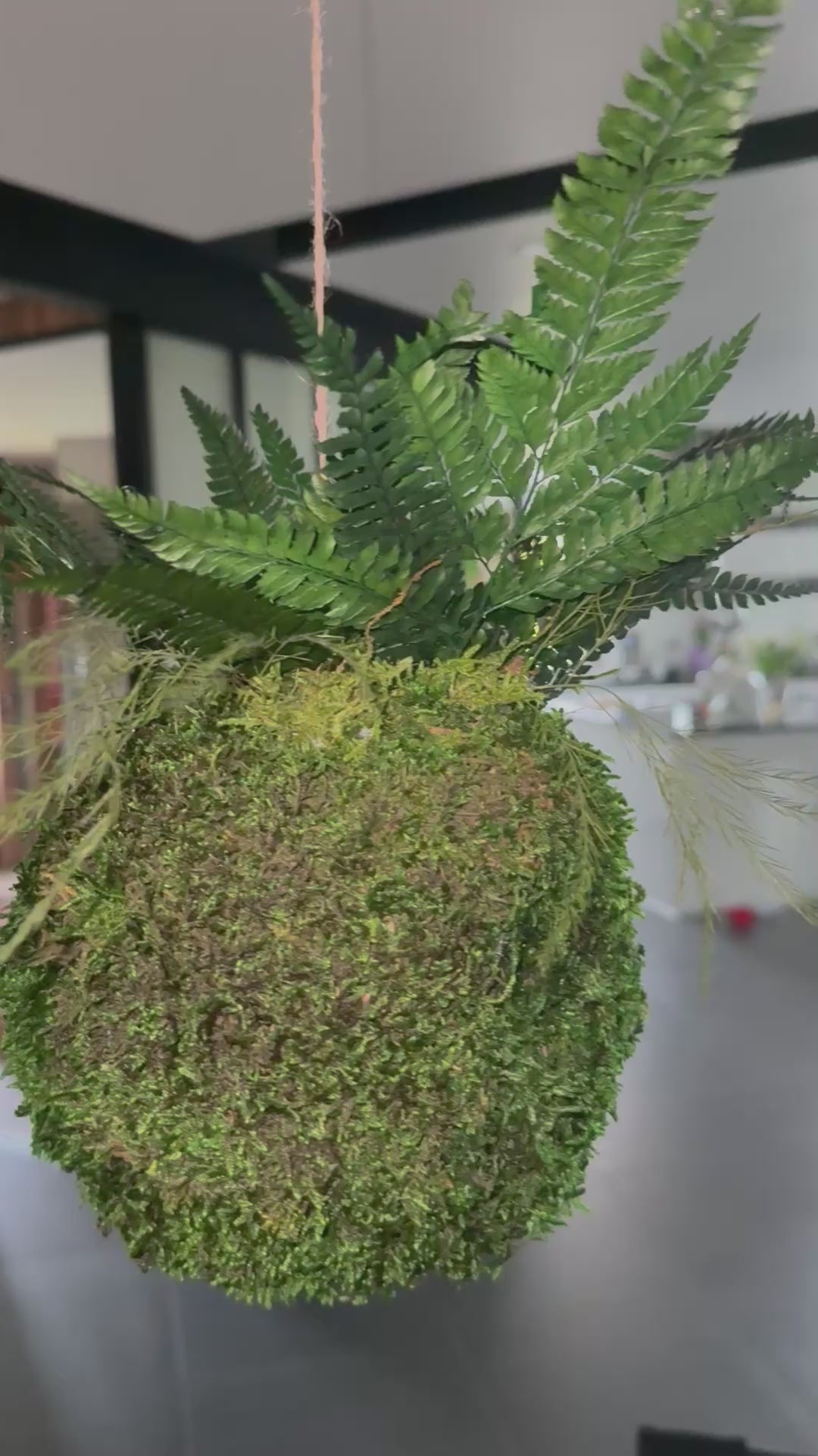 Kokedama suspendu avec fougères stabilisées – Art végétal aérien – Décoration zen bohème – Suspension végétale artisanale